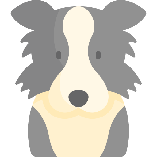 Border Collie icon