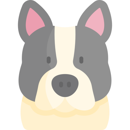 french bulldog icon