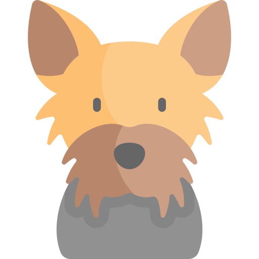 yorkshire terrier icon