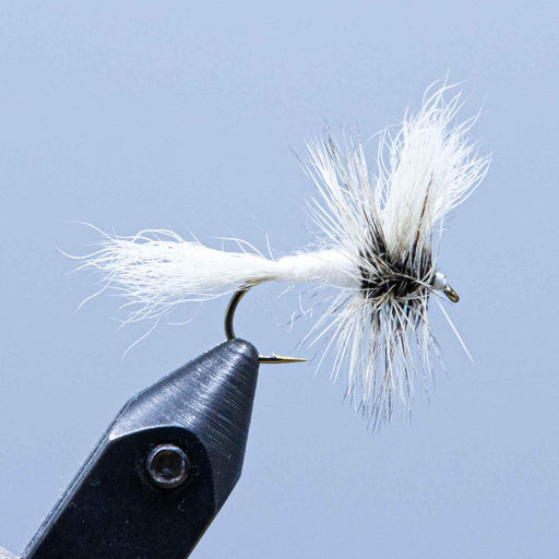 Gray Wulff – White Tail – Brown Hackle – Gaspé Fly Company