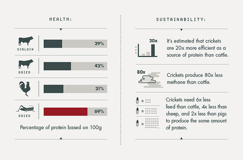 CRICKET POWDER-THE PETZ™ KITCHEN - Organic Ingredients for Home Cooked Pet Meals & Treats