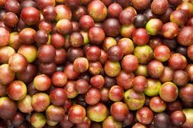 camu Camu for dogs camu camu for cats camu camu for joints camu camu the petz kitchen