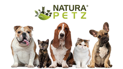 top 10 holiday gifts for dogs and cats natura petz organics top 10 stocking stuffers for dogs and cats natura petz organics
