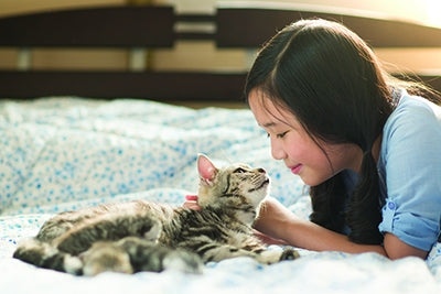Pet Product News features Natura Petz Organics Focus on Feline Wellness