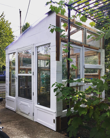 greenhouse made from vintage reclaimed windows