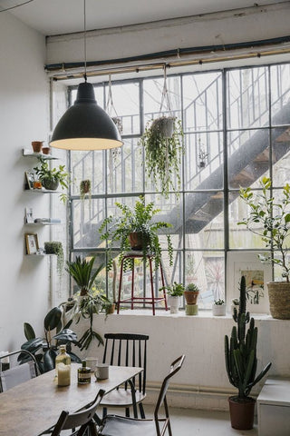Industrial rustic decor with plants and warehouse window
