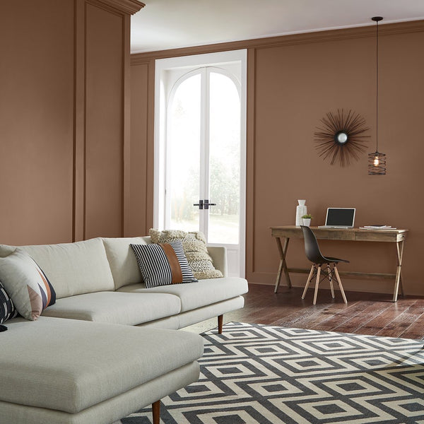 wild mustang brown wall color living room