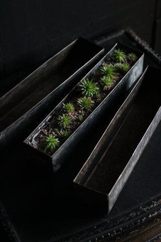 Small vintage Rectangular tray/planter