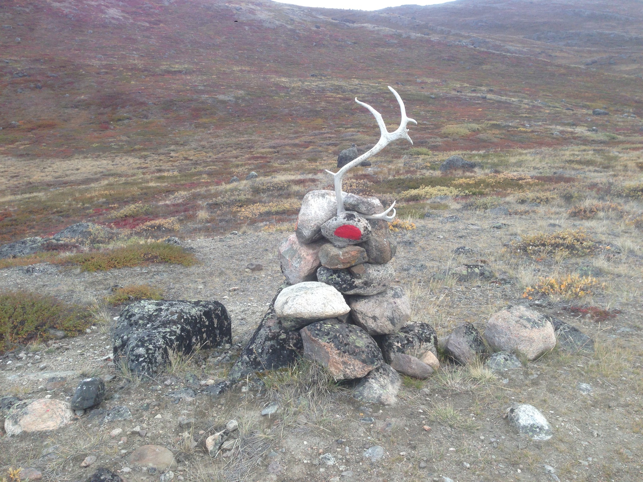 Reindeer Antler Cairn, Arctic Circle Trail, Greenland
