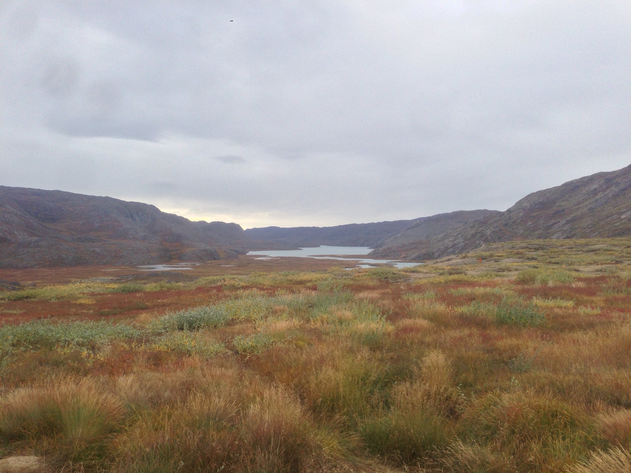 View from Eqalugaarniarfik Hut of Maliaq, Greenland (Arctic Circle Trail)