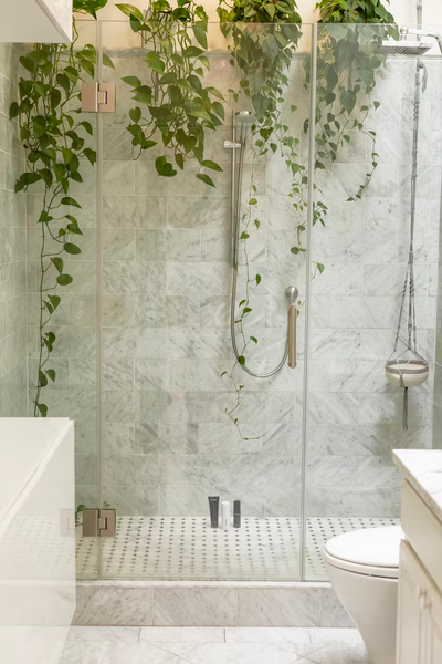 Vines in Shower