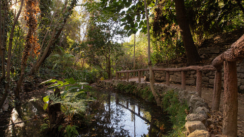 Hiking trail in nature