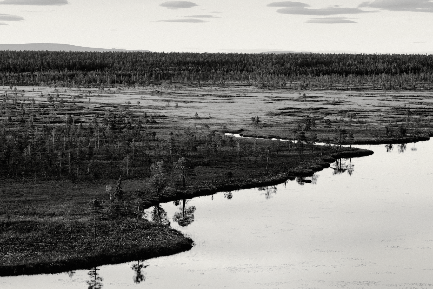 Mackmyra Muddus National Park