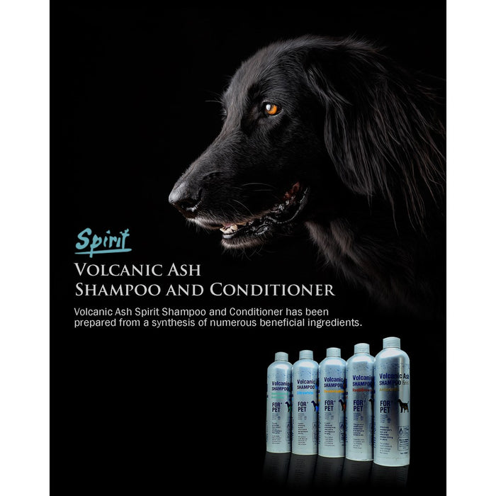deodorizing dog shampoo
