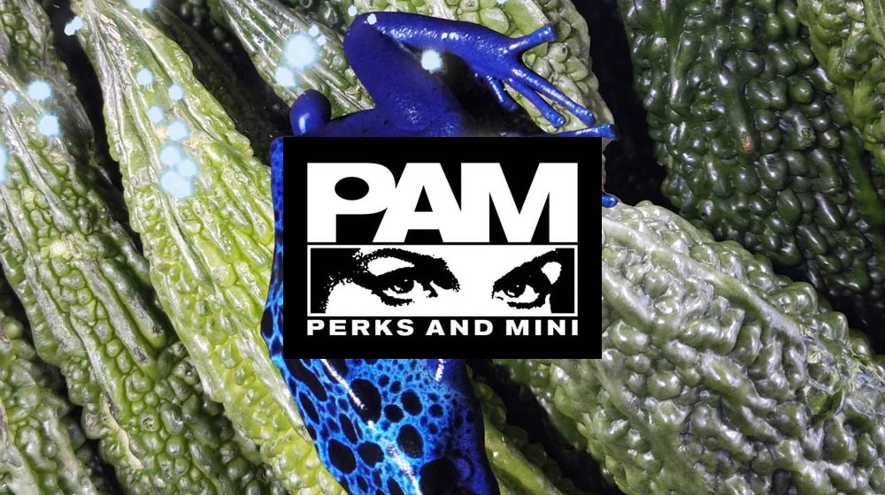 Collaged photo of some cucumbers, a blue frog, and the Perks And Mini logo.
