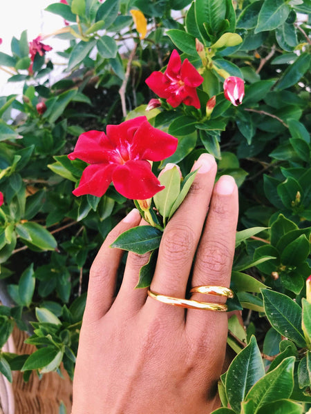 Image of a hand wearing a gold ring across two fingers, against a green bush with pink flowers. 