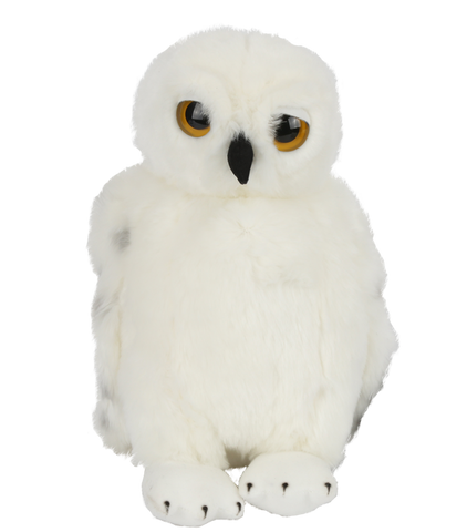 hedwig owl soft toy