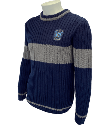 ravenclaw quidditch sweatshirt