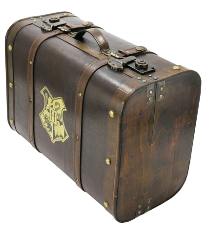 harry potter luggage cover