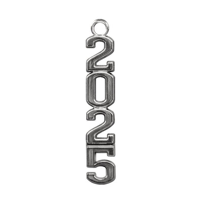 10 2024 Charms Silver Effect Leavers Charm for Keychain -  in