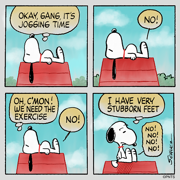 Image from Snoopy Cartoon