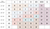 Non-Wire Bra Sizing Size Chart