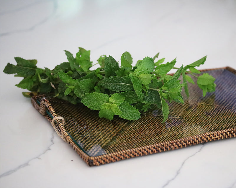 Rectangular Tray With Glass Bottom