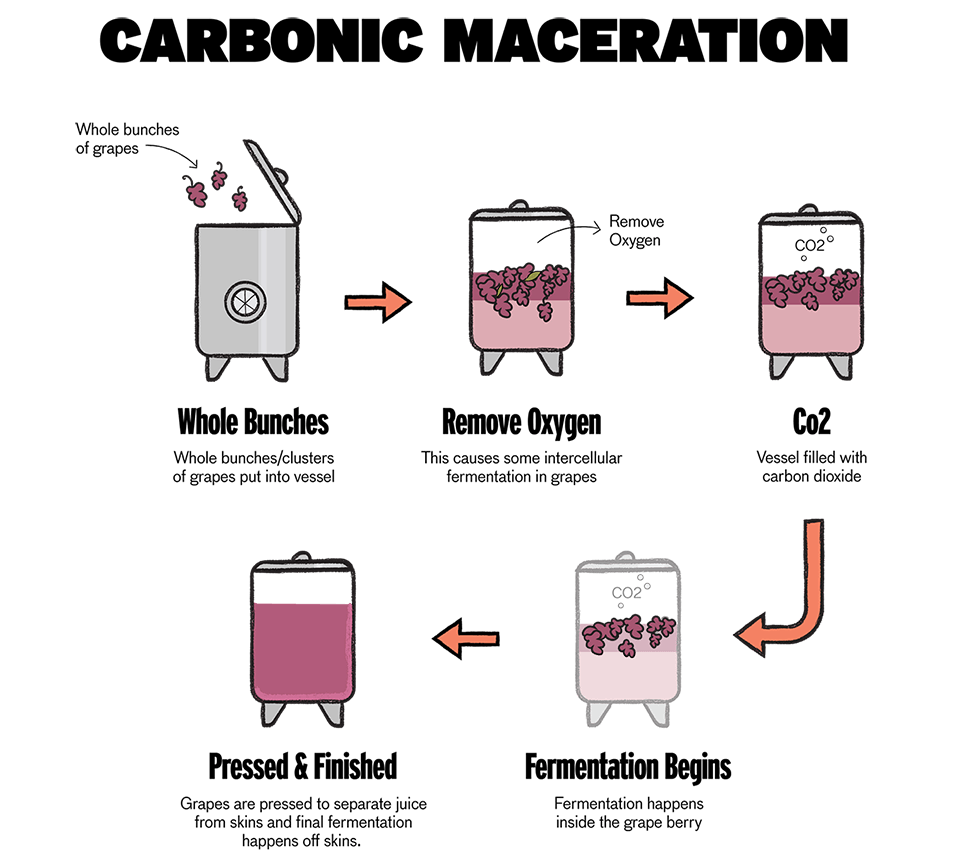 winemaking process carbonic maceration