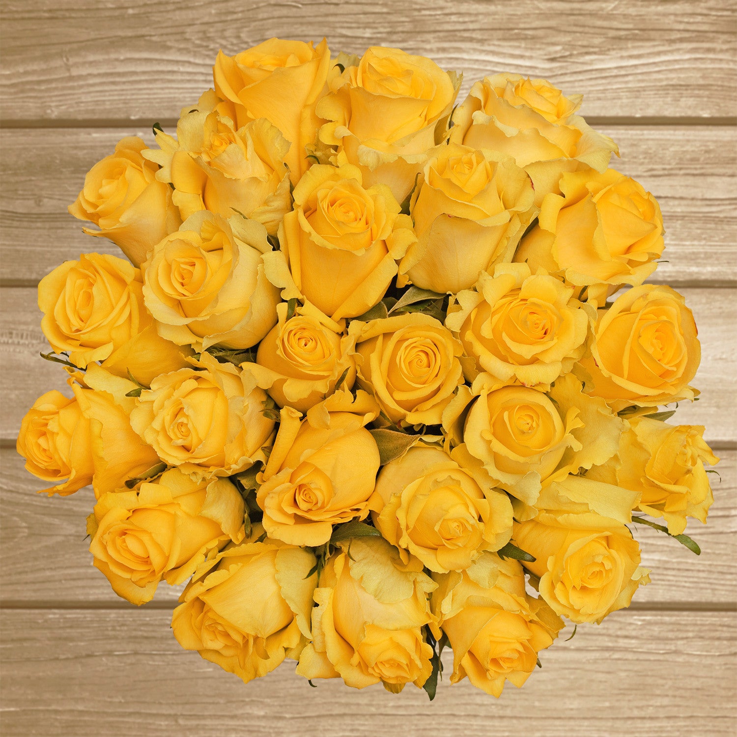 Download Yellow Roses - EbloomsDirect - Eblooms Farm Direct Inc.