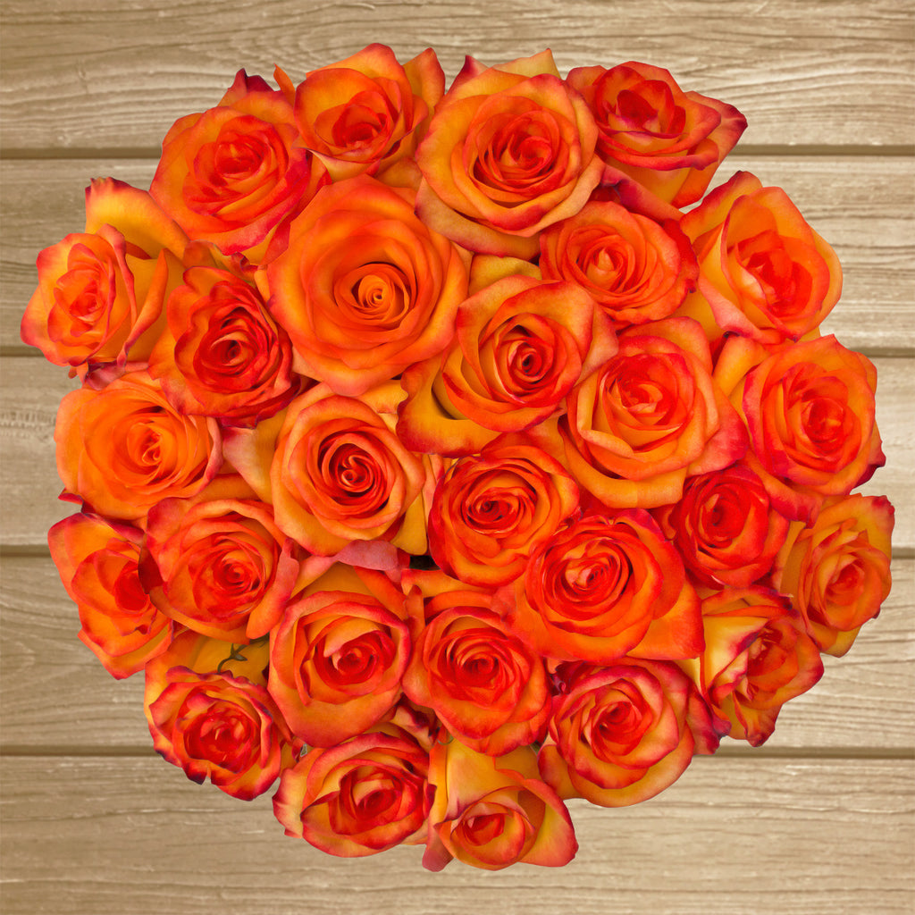 Bicolor Yellow/Orange Roses - EbloomsDirect – Eblooms Farm Direct Inc.