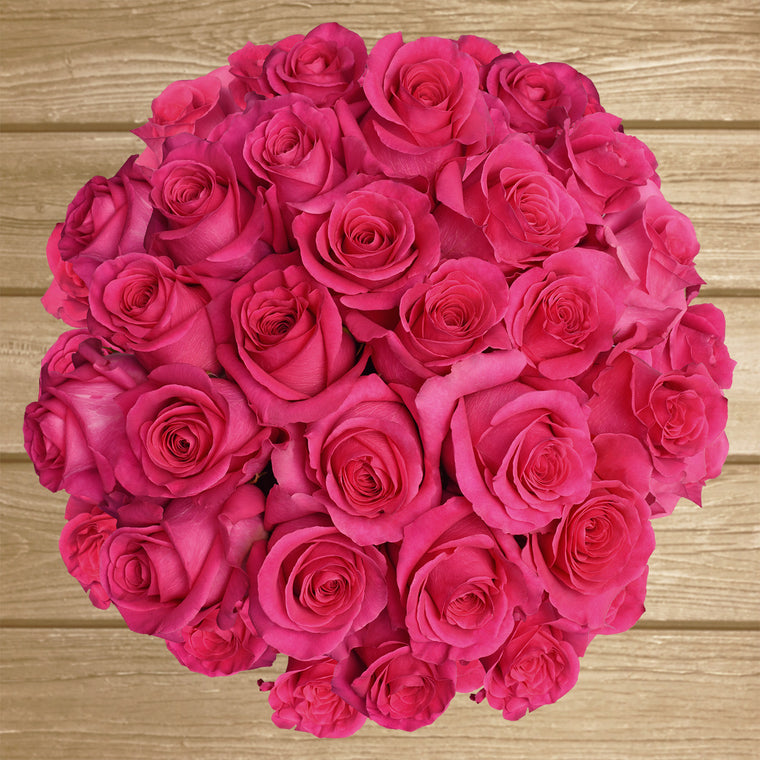 Roseberry Rose Variety - Hot Pink Roses near me - EbloomsDirect ...