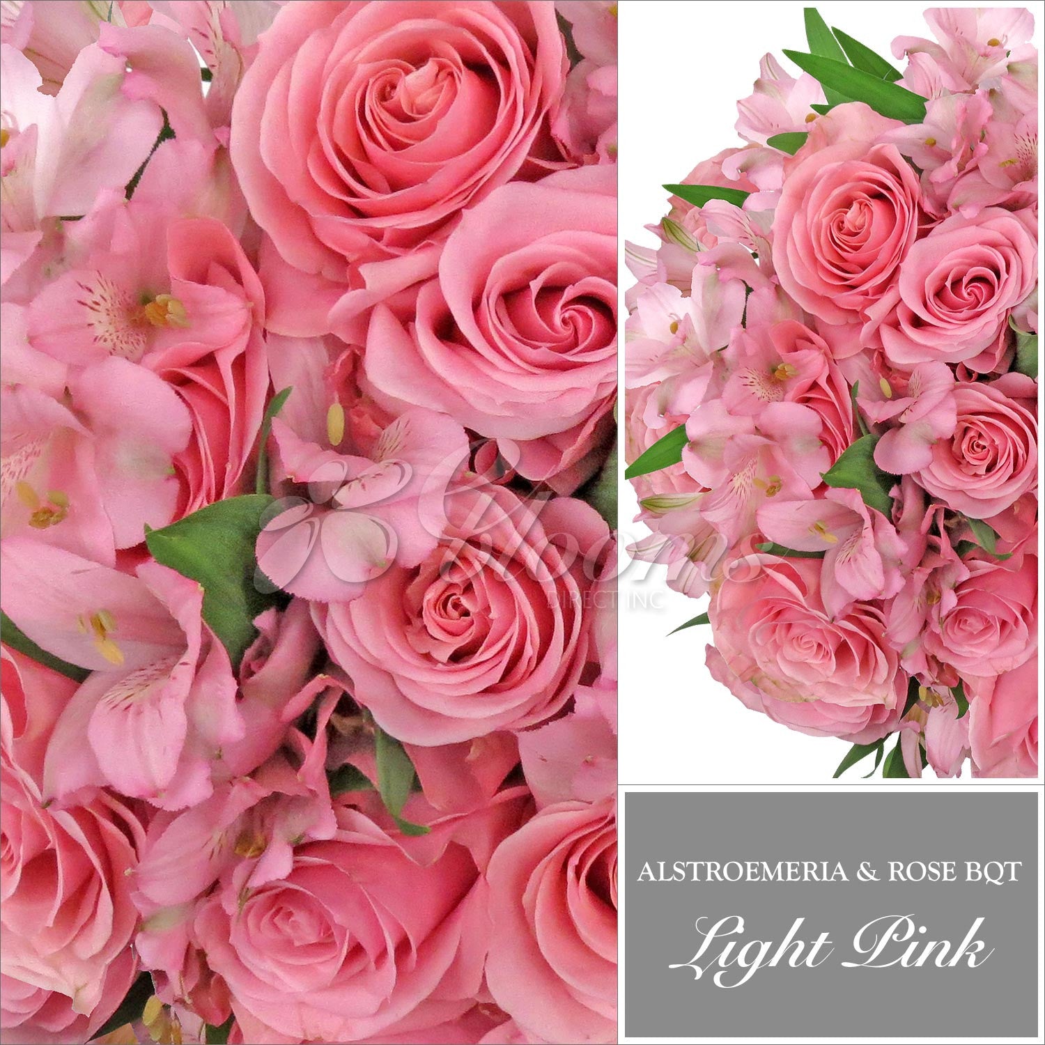 Light Pink Rose & Alstroemeria Monochromatic Bouquets EbloomsDire 2019