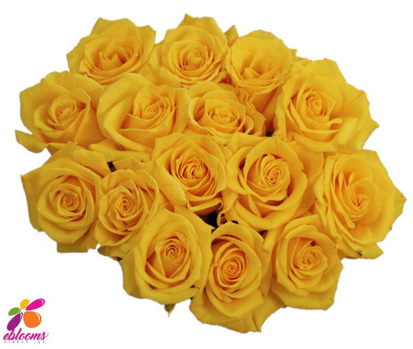 Mohana Rose Variety - EbloomsDirect – Eblooms Farm Direct Inc.