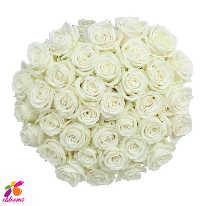 Playa Blanca Rose Variety - EbloomsDirect – Eblooms Farm Direct Inc.