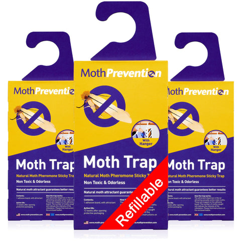 Clothes Moth Pheromone Traps for Clothes Moths