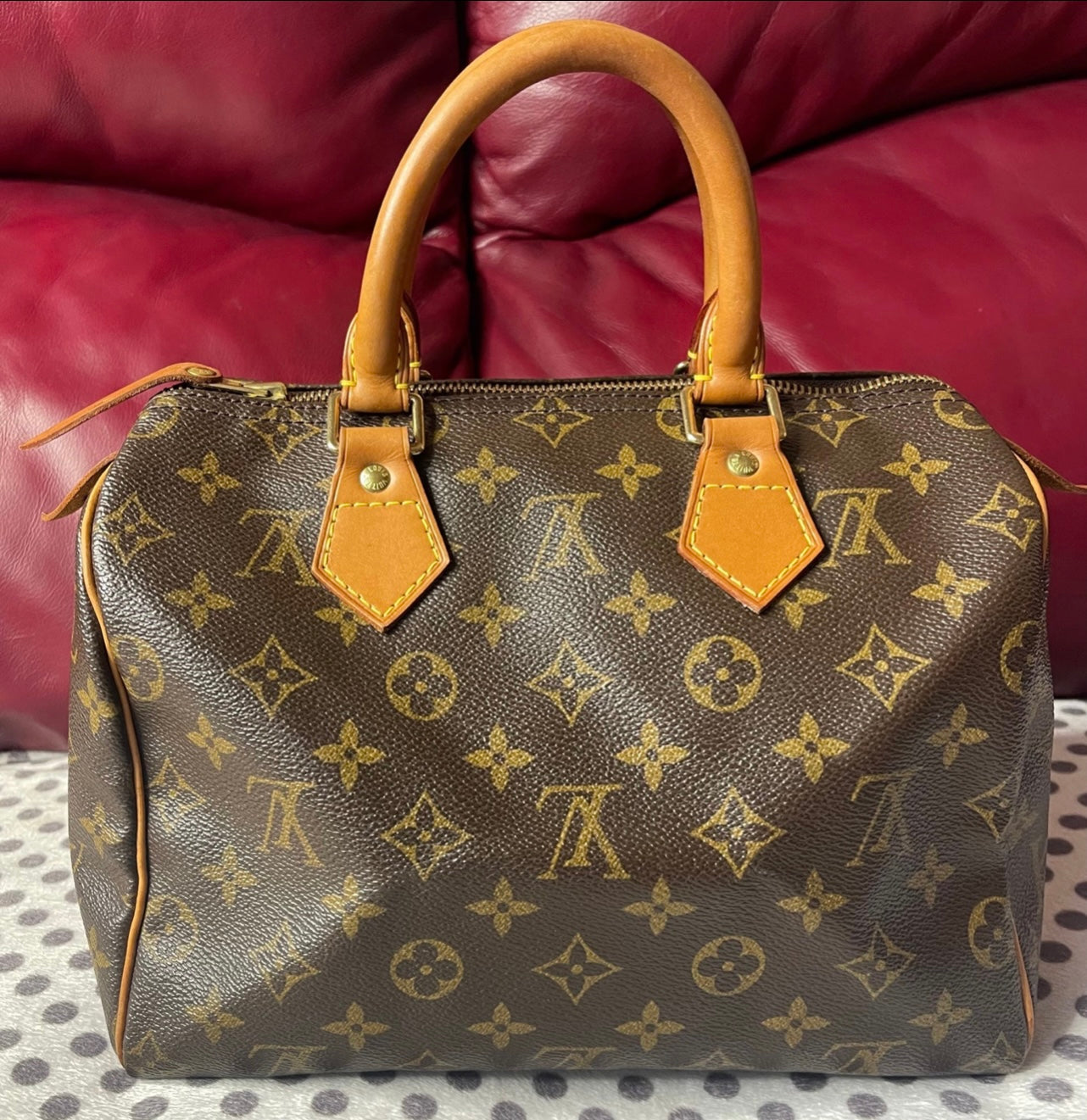 Louis Vuitton Speedy 25 Bag