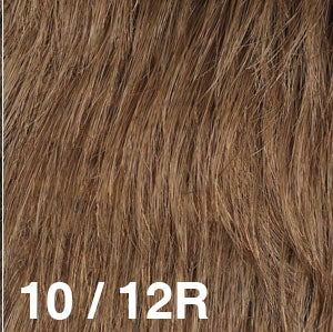 Dream Wigs USA | 10/12R Medium Brown (10) frosted with Light Brown (12)