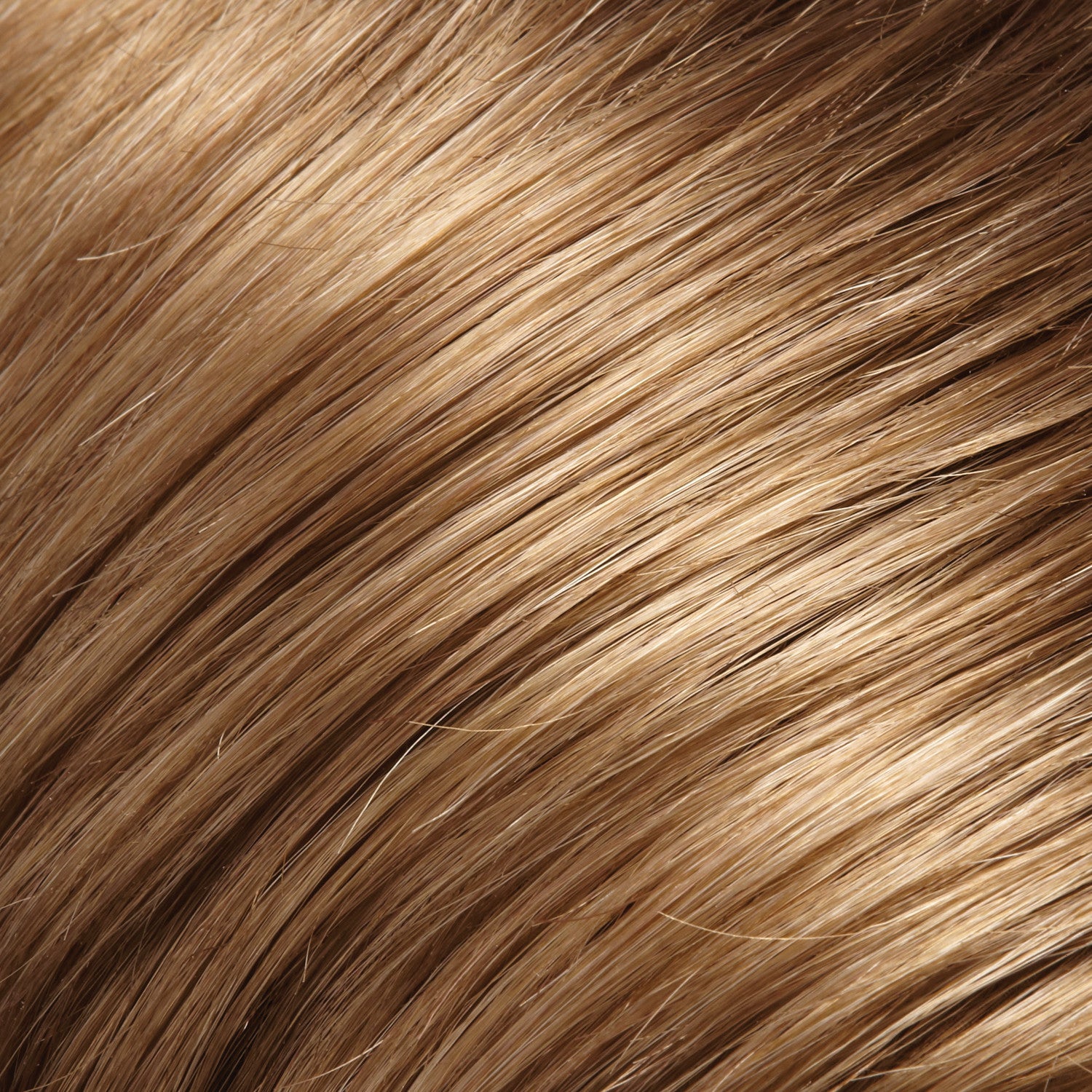 Лайт браун. Голд Браун цвет волос. Golden Brown цвет волос. Light Golden Brown цвет волос. Волосы теплого оттенка пралине.