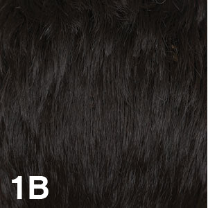 Dream USA Wigs | 1B  Off Black