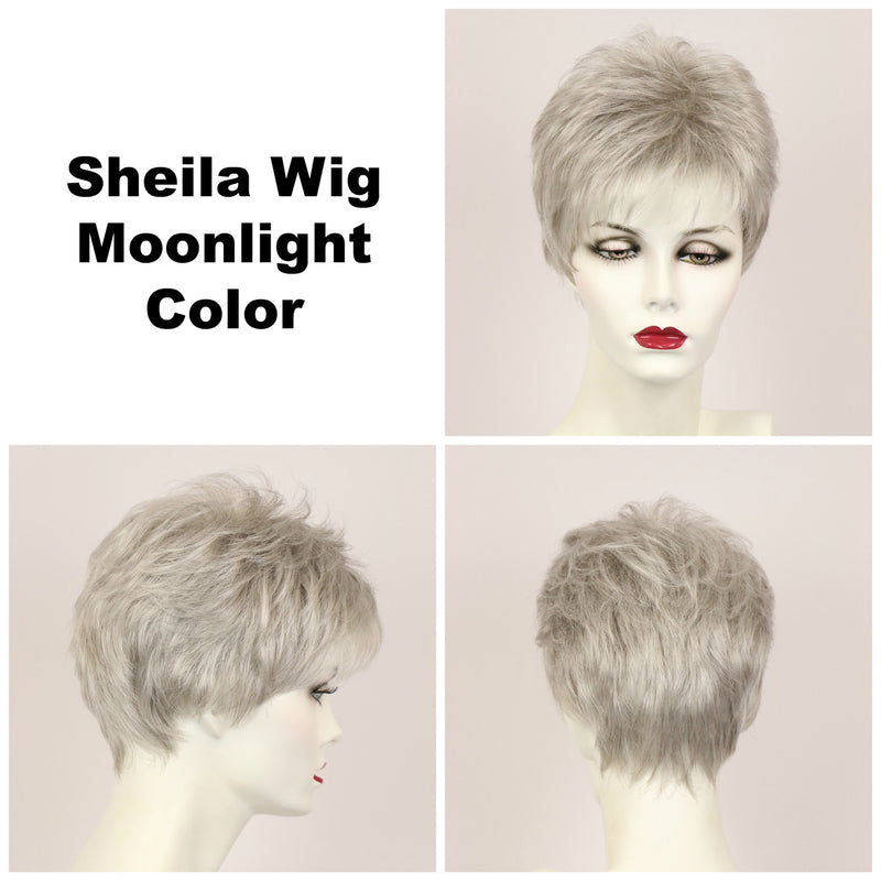 Godivas Secret Wigs Sheila Large Wig