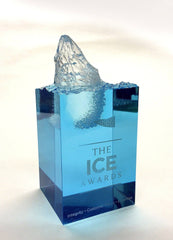 acrylic perspex award design ideas