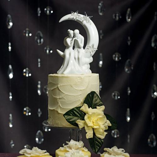  I Love You to the Moon and Back starry night wedding.