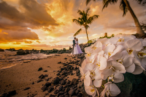 Maui Wedding Packages Locations And Photography