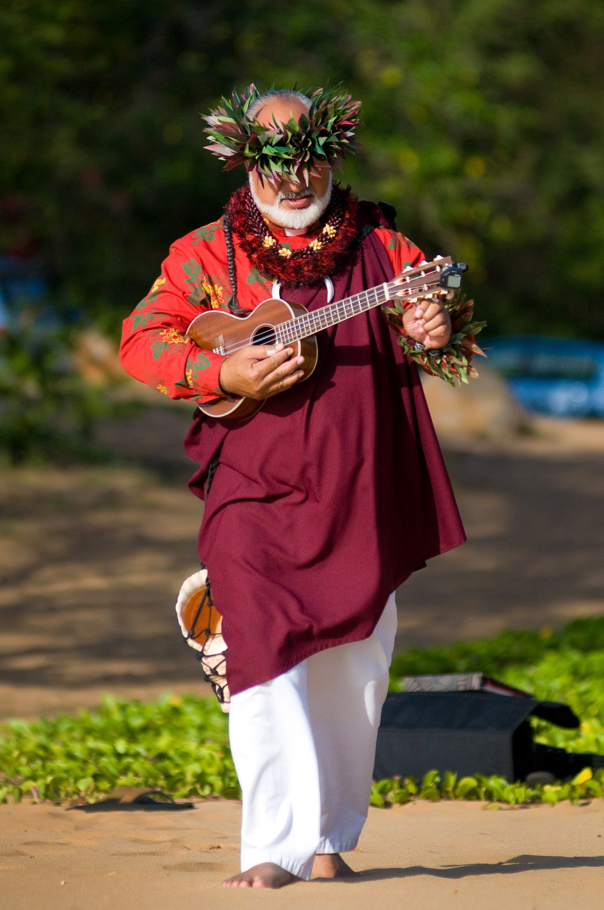 Maui Wedding Minister Only Package - Maui Wedding 