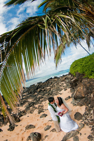 Wiki Wiki Quick Maui Beach Wedding Maui S Paradise Dream Wedding