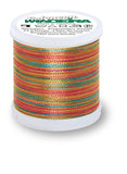 PolyNeon Multicolour Embroidery Thread