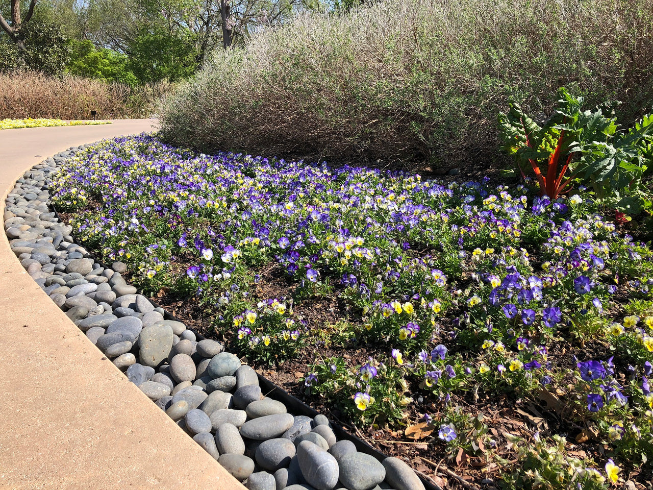 landscaping rock borders