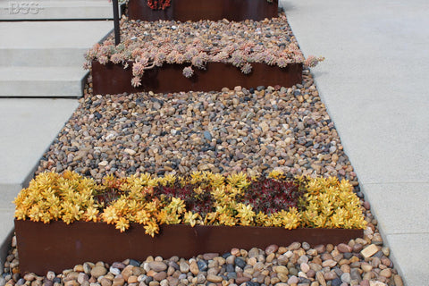 Sonora Shine Pebble Border