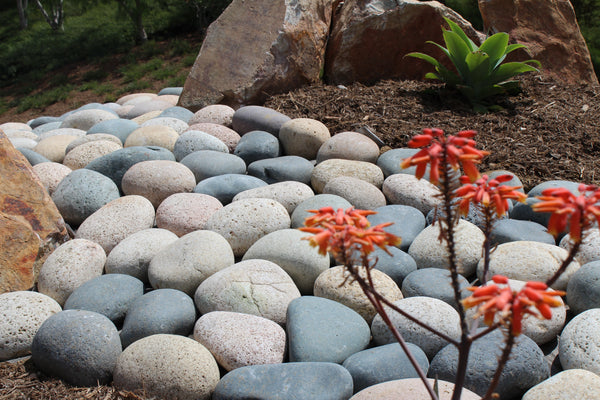 Mixed Mexican Landscape Beach Pebbles Online Stone Solutions