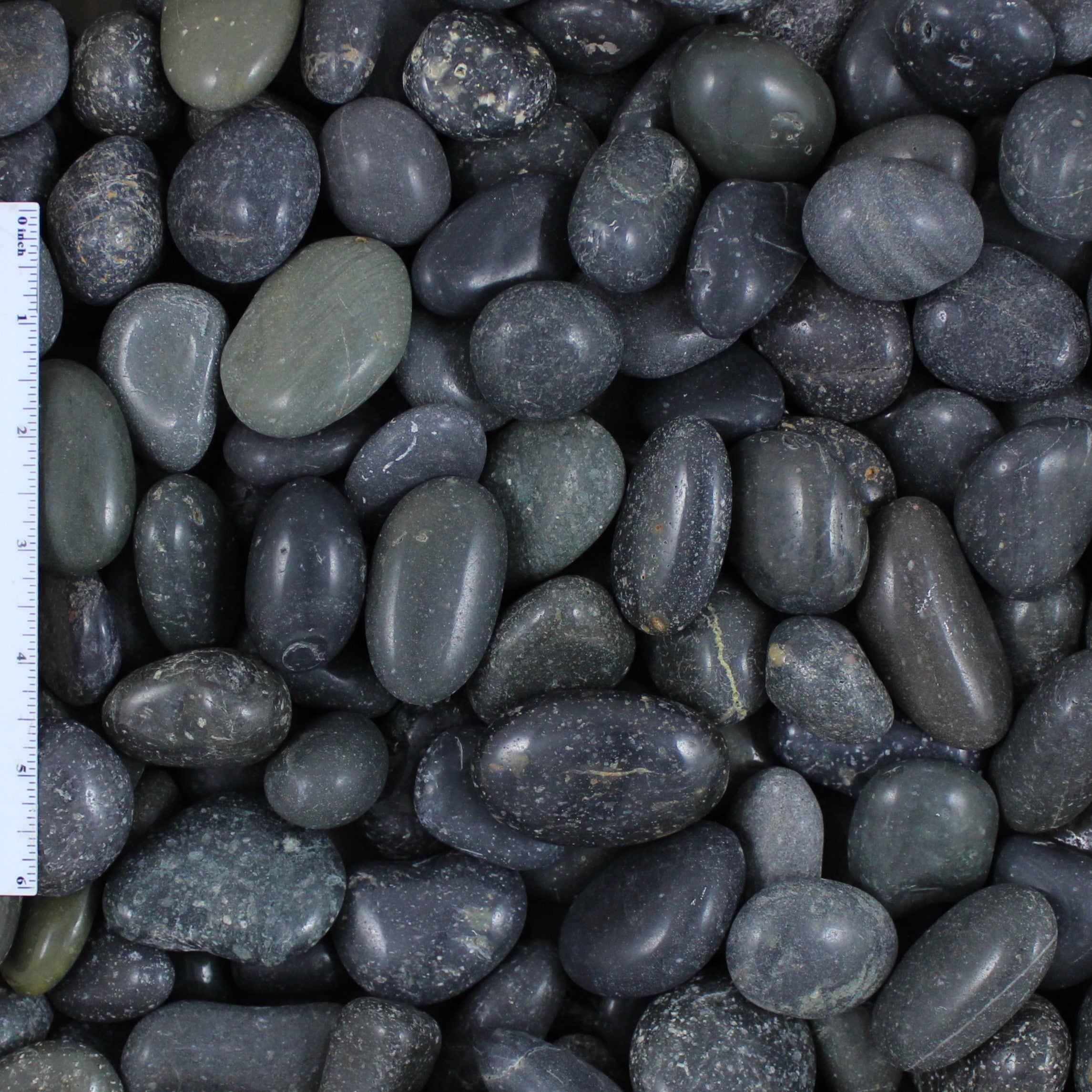 Polished Black Mexican Beach Pebble Sample (1/2"-1", 1"-2", and 2"-3",)